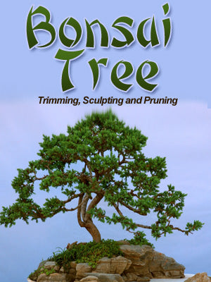 Bonsai Trees - Growing, Trimming, Sculpting, and Pruning.